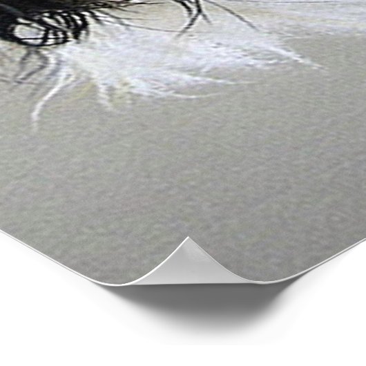 Cavalier King Charles Spaniel Dog Poster Print (Ecke)