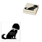 Cavalier King Charles Spaniel Dog Puppy Gummistempel (Stempel)