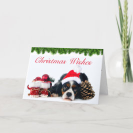 Cavalier King Charles Spaniel Dog Weihnachten