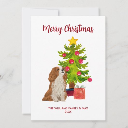Cavalier King Charles Spaniel Dog Weihnachten (Vorderseite)