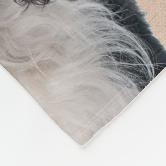 Cavalier King Charles Spaniel Dogs - House Zuhause Fleecedecke (Ecke)