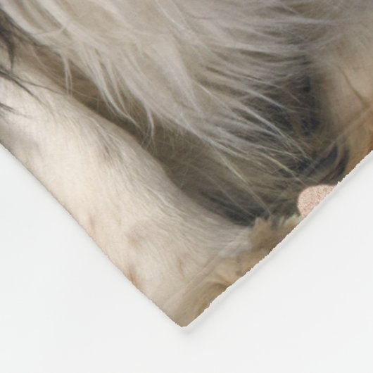 Cavalier King Charles Spaniel Dogs - House Zuhause Fleecedecke (Ecke)