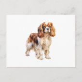Cavalier King Charles Spaniel drucken Dog Art Prin Postkarte (Vorderseite)