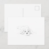 Cavalier King Charles Spaniel Erinnerung Postkarte (Vorne/Hinten)
