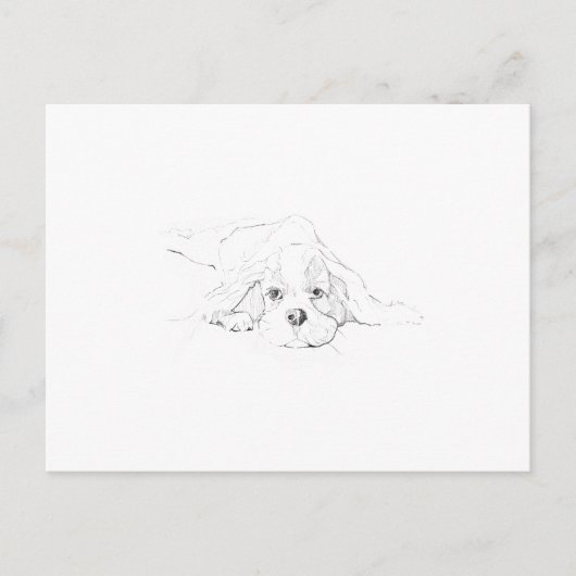 Cavalier King Charles Spaniel Erinnerung Postkarte (Vorderseite)
