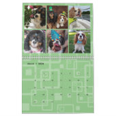 Cavalier King Charles Spaniel FB Group Calendar (2 Kalender (Mär 2026)