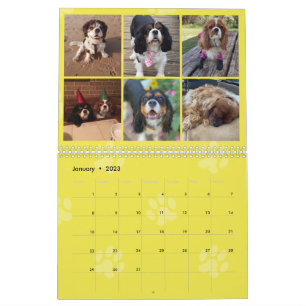 Cavalier King Charles Spaniel FB Group Calendar (3 Kalender