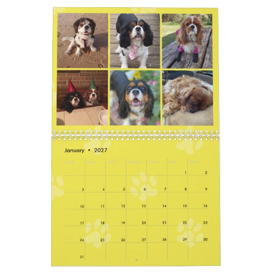 Cavalier King Charles Spaniel FB Group Calendar (3 Kalender (Jan 2027)