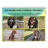 Cavalier King Charles Spaniel FB Group Calendar (3 Kalender (Titelbild)