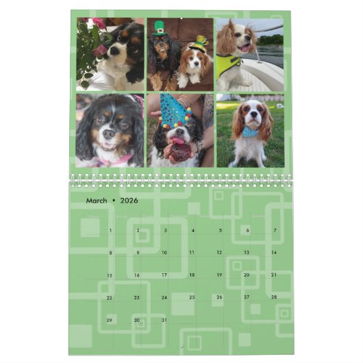 Cavalier King Charles Spaniel FB Group Calendar (3 Kalender (Mär 2026)