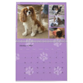 Cavalier King Charles Spaniel FB Group Kalender (Jan 2027)