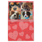 Cavalier King Charles Spaniel FB Group Kalender (Feb 2027)