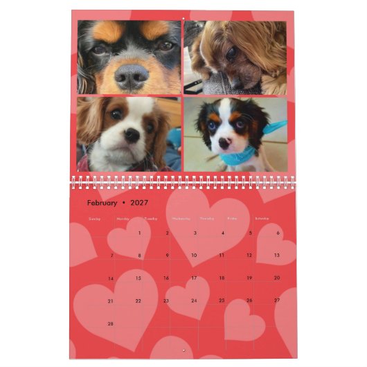 Cavalier King Charles Spaniel FB Group Kalender (Feb 2027)