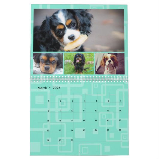 Cavalier King Charles Spaniel FB Group Kalender (Mär 2026)