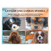 Cavalier King Charles Spaniel FB Group Kalender (Titelbild)