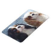 Cavalier King Charles Spaniel Flexible Magnet (Linke Seite)