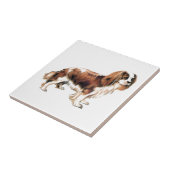 Cavalier King Charles Spaniel Fliese (Seite)