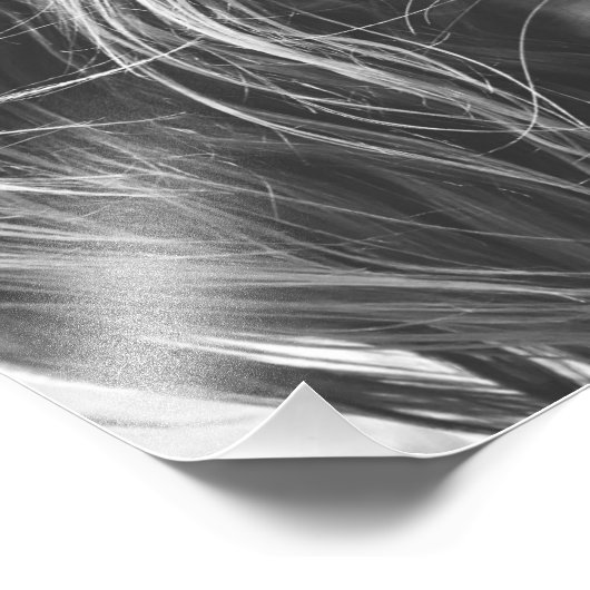 Cavalier King Charles Spaniel Fotodruck (Ecke)