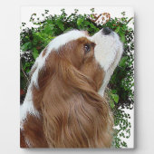 Cavalier King Charles Spaniel Fotoplatte (Vorderseite)
