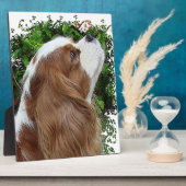 Cavalier King Charles Spaniel Fotoplatte (Seite)