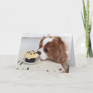 Cavalier King Charles Spaniel Freitag Cupcake Karte