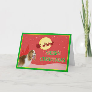 Cavalier King Charles Spaniel Frohe Weihnachtskart Feiertagskarte