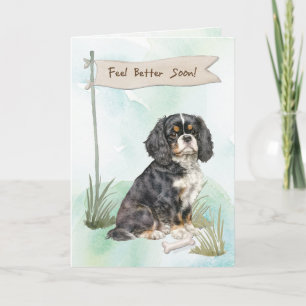 Cavalier King Charles Spaniel Fühle dich besser na Karte
