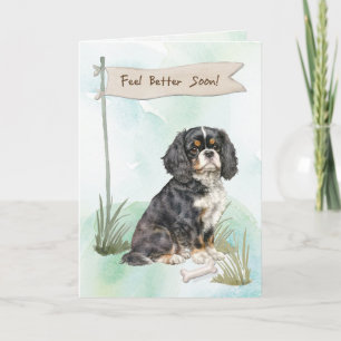 Cavalier King Charles Spaniel - Fühle dich nach de Karte