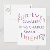 Cavalier King Charles Spaniel Furever Postkarte (Vorne/Hinten)