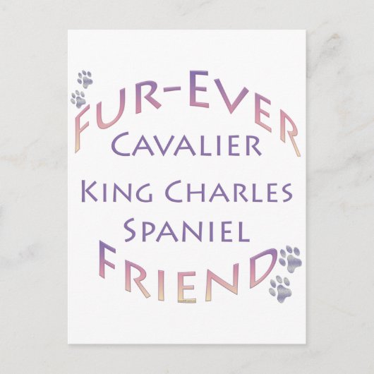 Cavalier King Charles Spaniel Furever Postkarte (Vorderseite)