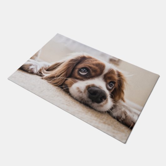 Cavalier king charles spaniel fußmatte (Schrägansicht)