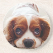 Cavalier King Charles Spaniel Getränkeuntersetzer (Vorne)