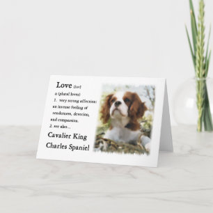 Cavalier King Charles Spaniel Gifts Karte