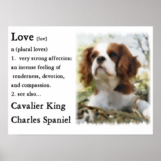 Cavalier King Charles Spaniel Gifts Poster (Vorne)