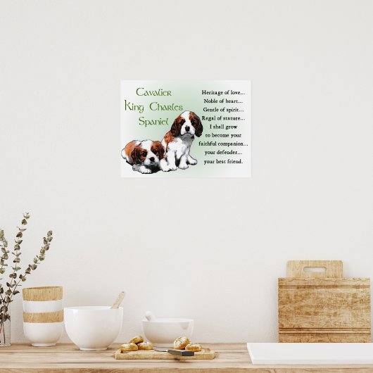 Cavalier King Charles Spaniel Gifts Poster (Küche)