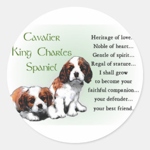 Cavalier King Charles Spaniel Gifts Runder Aufkleber