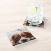 Cavalier King Charles Spaniel Glasuntersetzer (Schrägansicht)