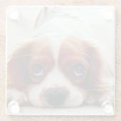 Cavalier King Charles Spaniel Glasuntersetzer (Rückseite)