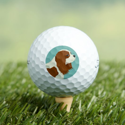  Cavalier King Charles Spaniel Golfball (Insitu T-Shirt)
