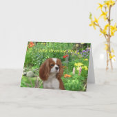 Cavalier King Charles Spaniel Grußkarte Karte (Gelbe Blume)