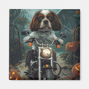 Cavalier King Charles Spaniel Halloween Beängstige Magnet