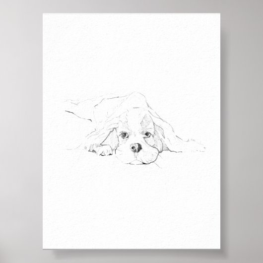 Cavalier King Charles Spaniel Haustier Poster (Vorne)