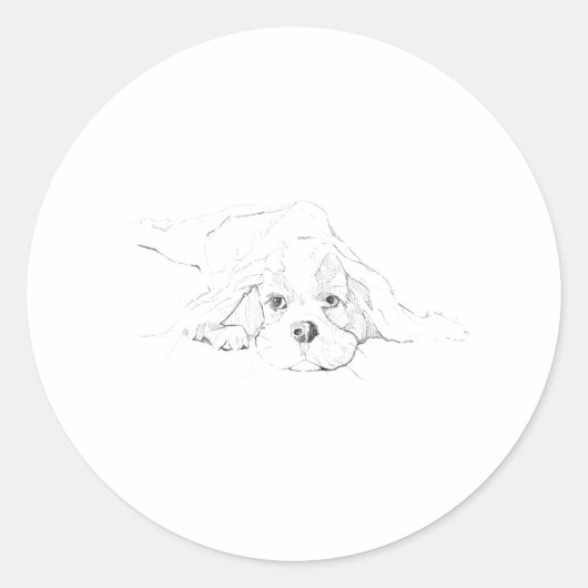 Cavalier King Charles Spaniel Haustier Runder Aufkleber (Vorderseite)