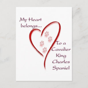Cavalier King Charles Spaniel Heart Belongs Postkarte