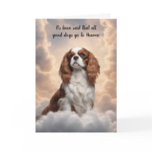 Cavalier King Charles Spaniel Heaven Beileid
