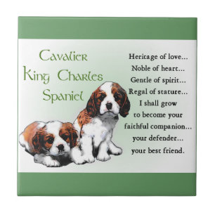 Cavalier King Charles Spaniel Heritage of Liebe Fliese