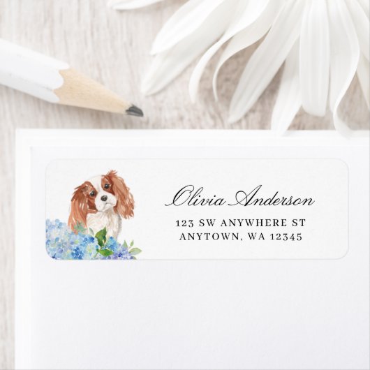 Cavalier King Charles Spaniel Hortensie Adresse (Insitu)