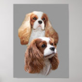 Cavalier King Charles Spaniel Hübsch Girls Print Poster (Vorne)