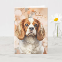 Cavalier King Charles Spaniel Hund Blossom Geburts