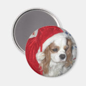 CAVALIER KING CHARLES SPANIEL HUND MIT WEIHNACHTSM MAGNET (Vorderseite/Rückseite)